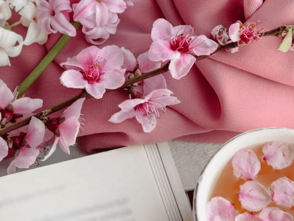 Book Review: Icarus&nbsp;Plummeting